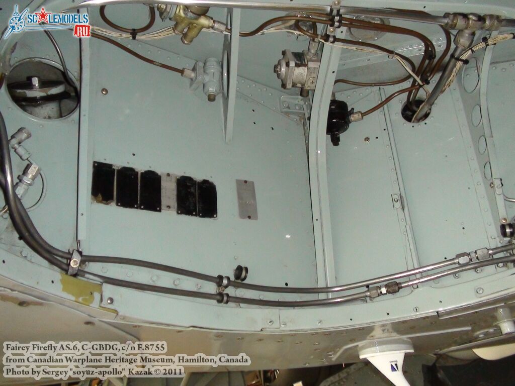 firefly_as6_0049.jpg