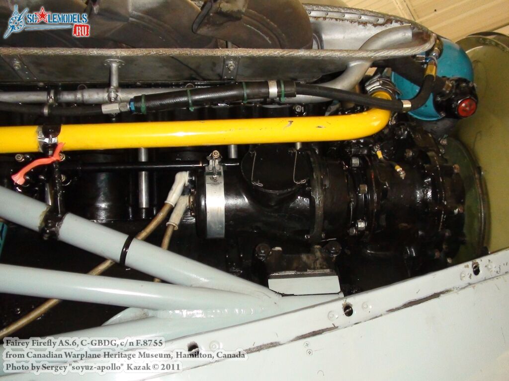 firefly_as6_0060.jpg
