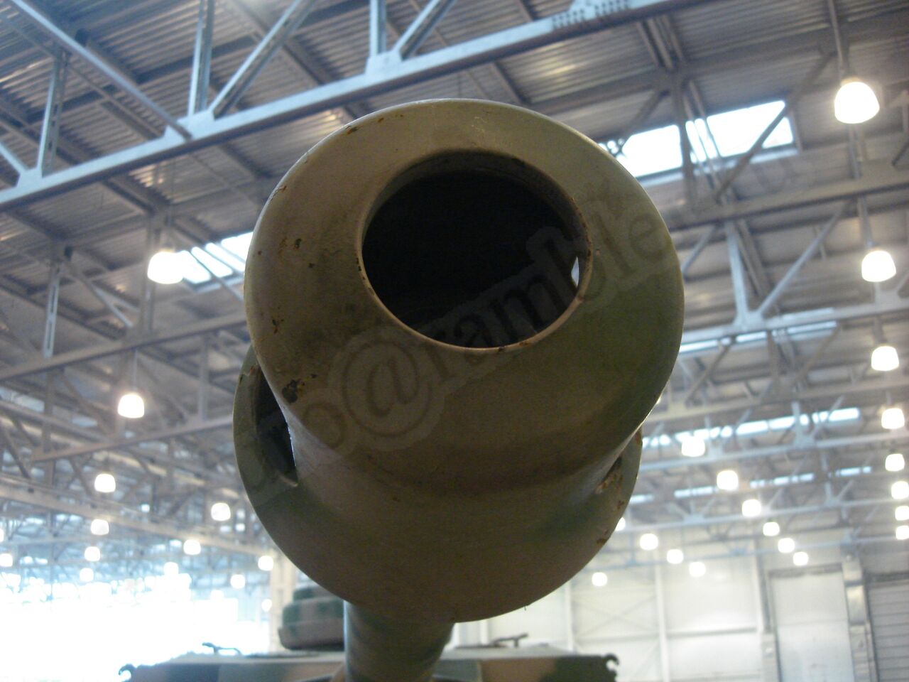 186.jpg
