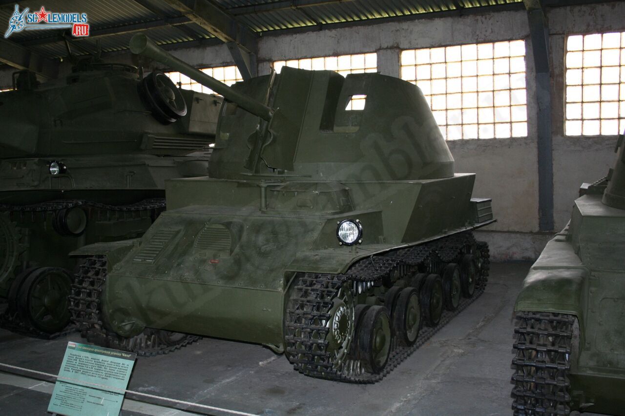 79.jpg