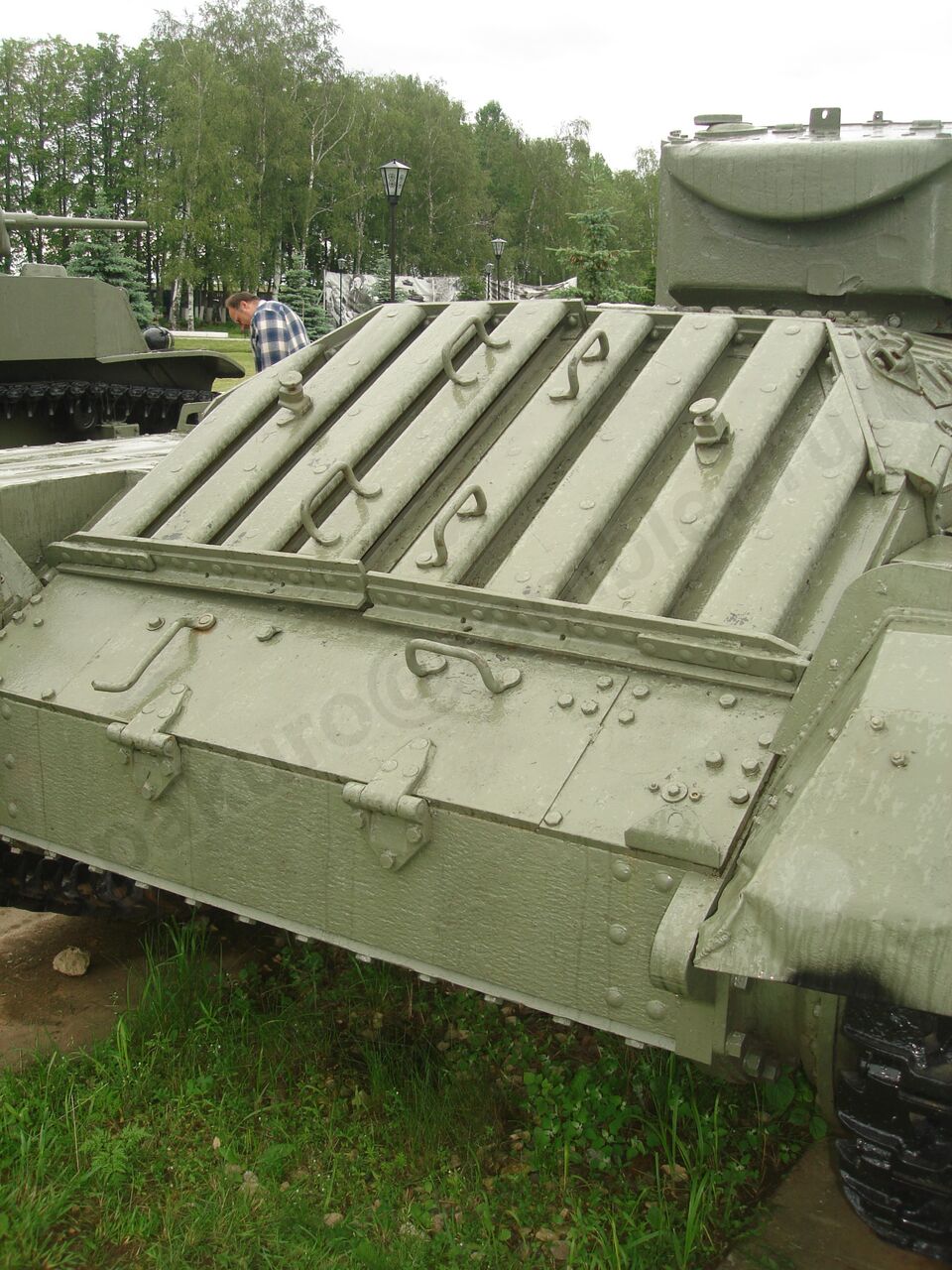 46.jpg