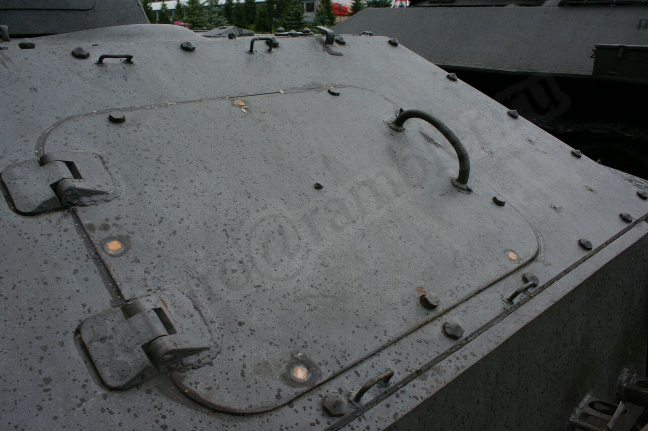 66.jpg