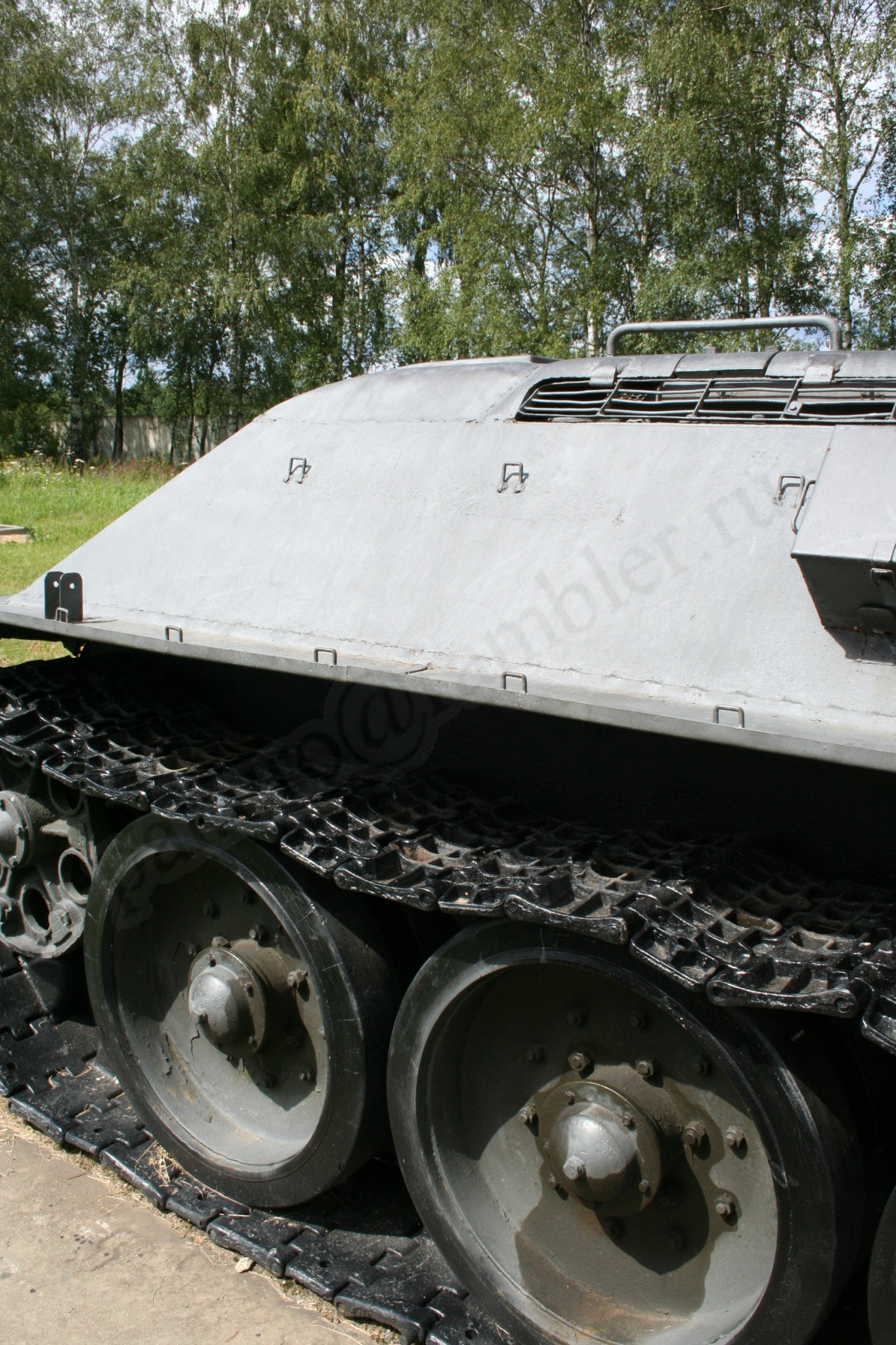 78.jpg