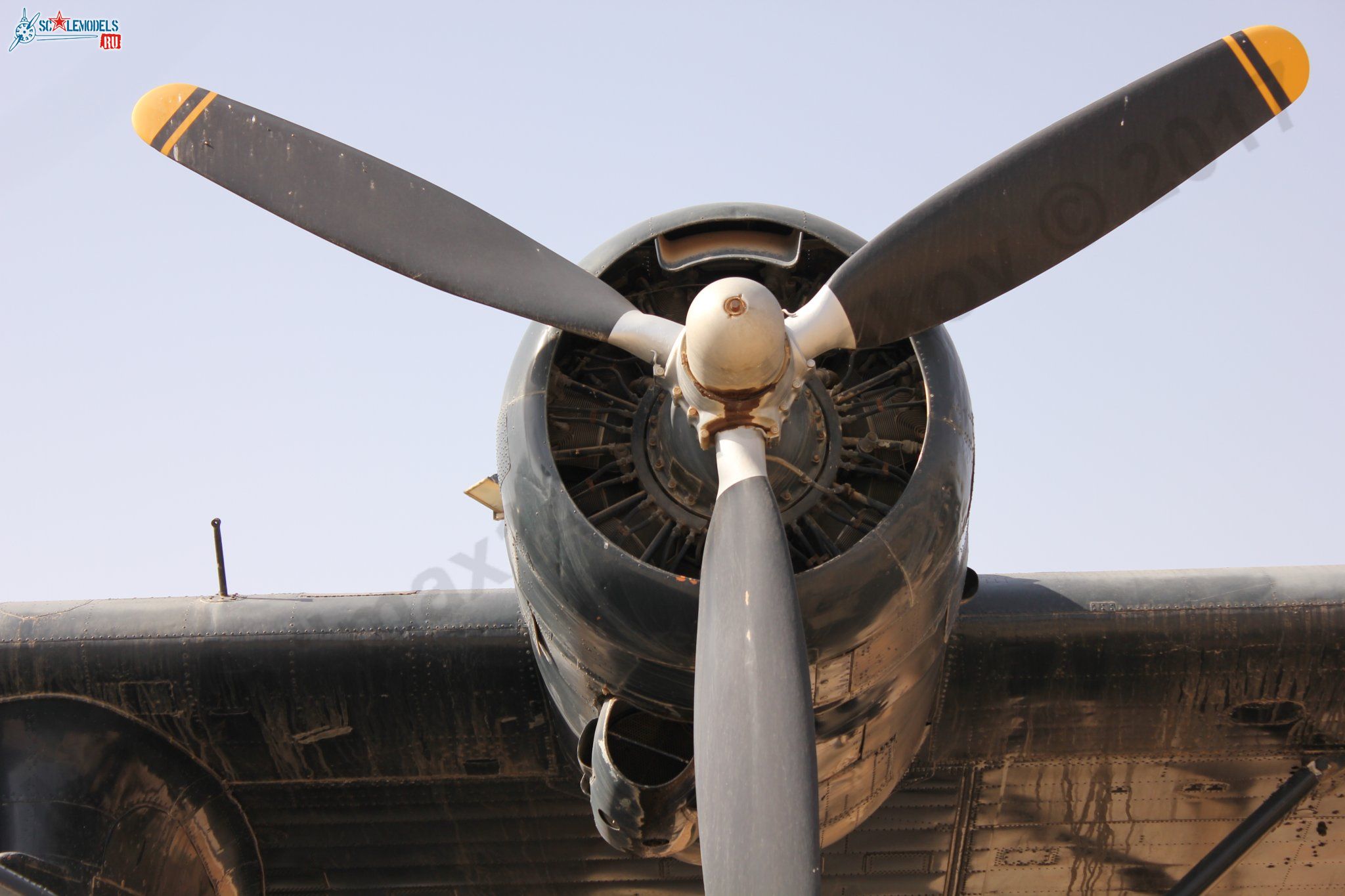 PBY-6A_Catalina_12.jpg