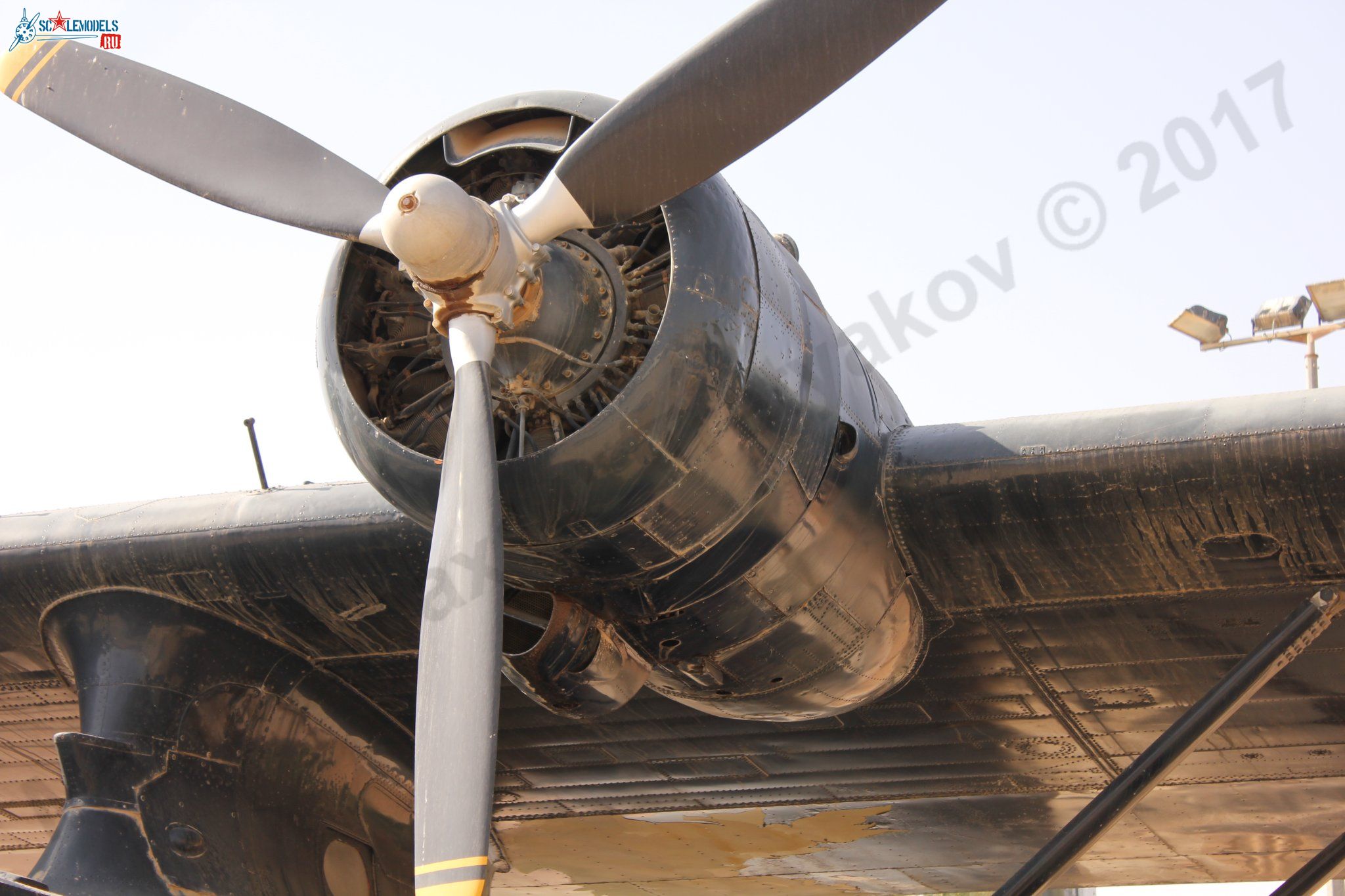 PBY-6A_Catalina_6.jpg