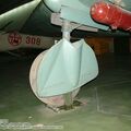 il-10_0006.jpg