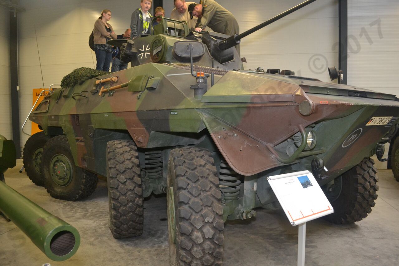 Luchs_0.jpg