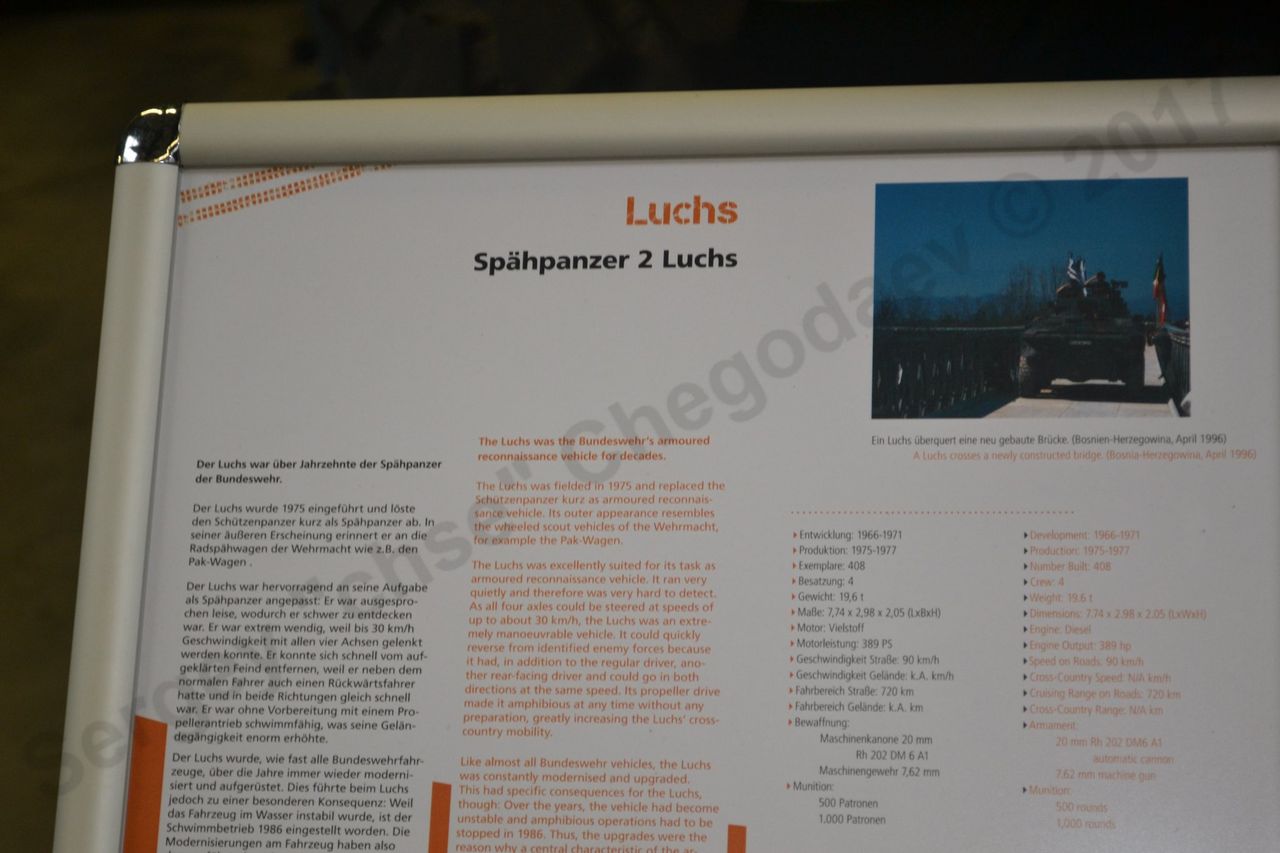 Luchs_1.jpg