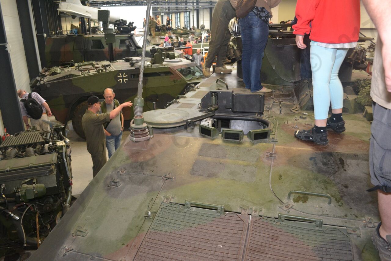 Luchs_16.jpg