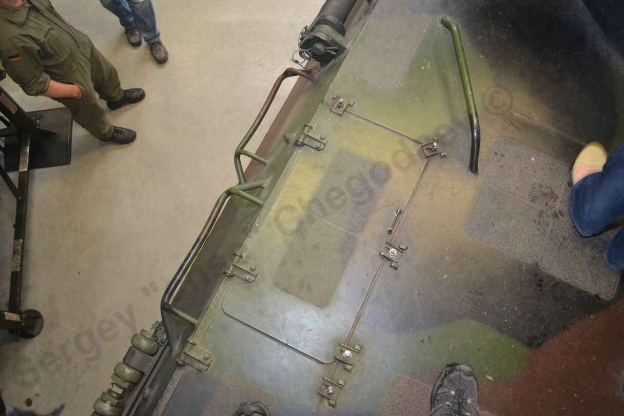 Luchs_25.jpg