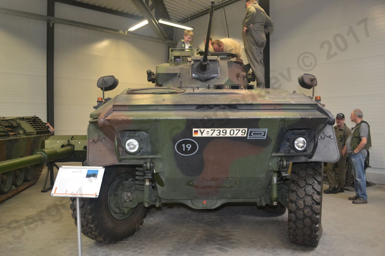 Luchs_3.jpg