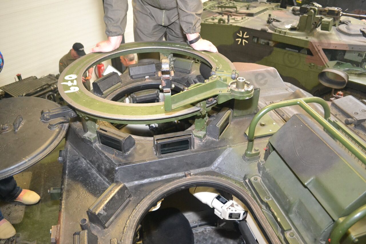 Luchs_31.jpg