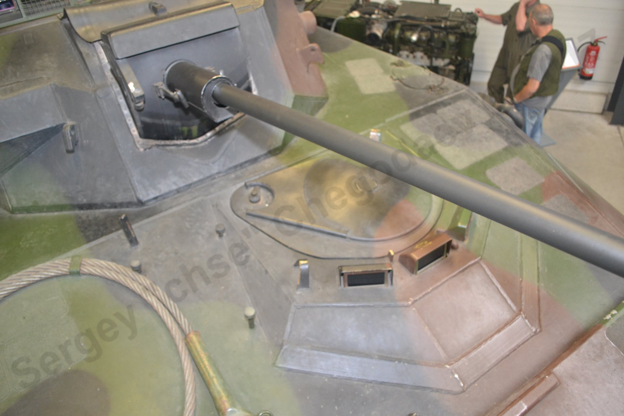 Luchs_33.jpg