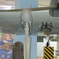 il-10_0062.jpg