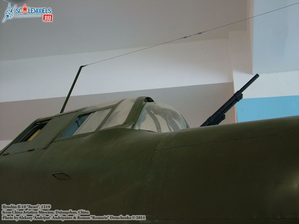 il-10_0025.jpg