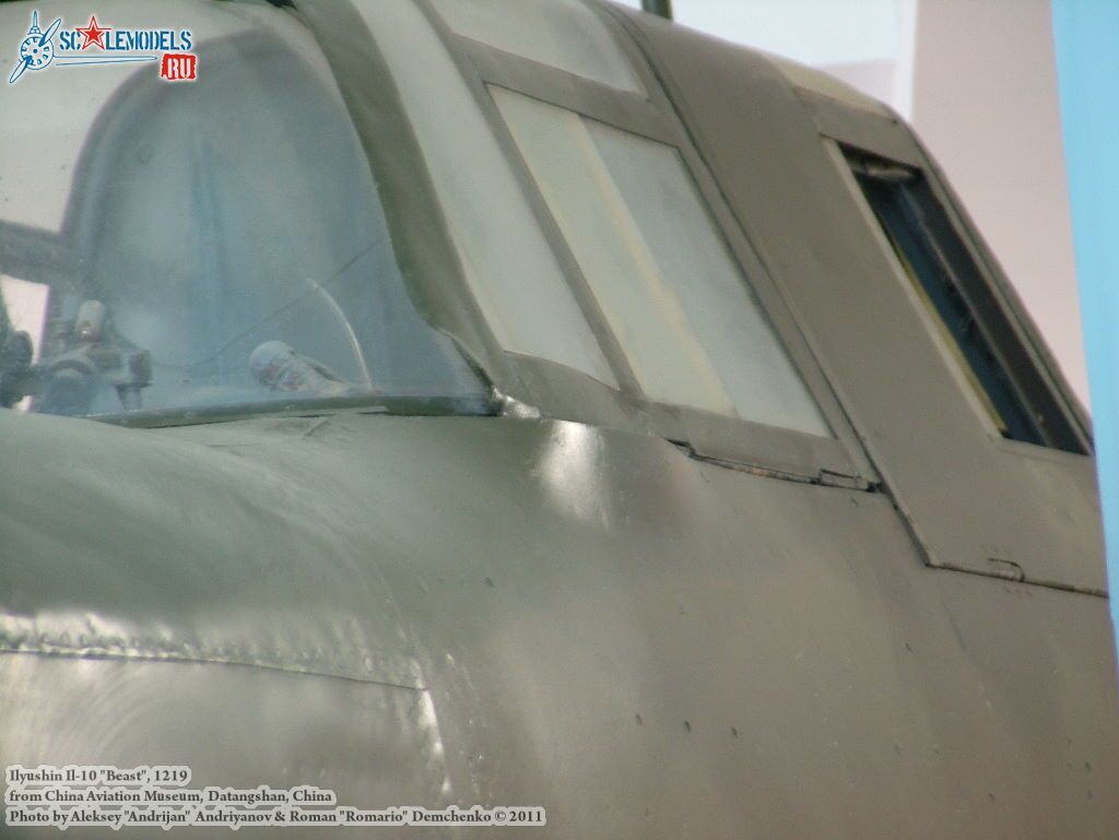 il-10_0031.jpg