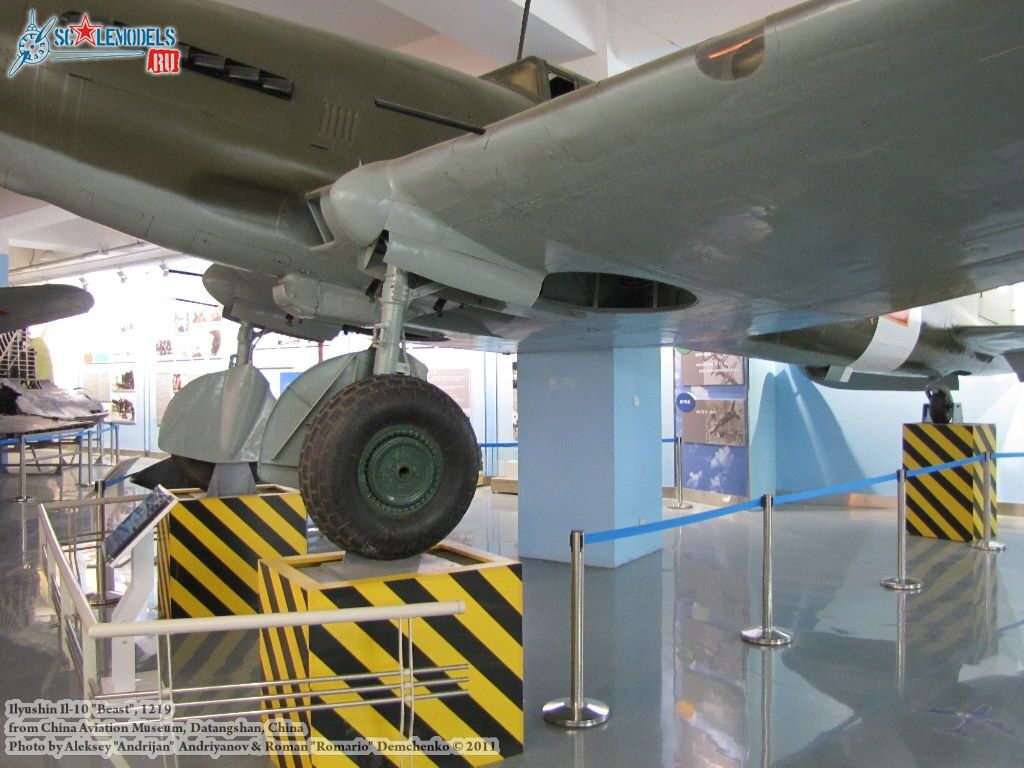il-10_0037.jpg