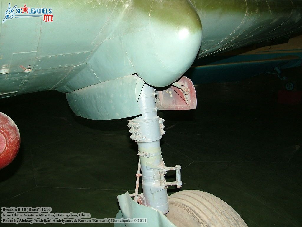 il-10_0012.jpg