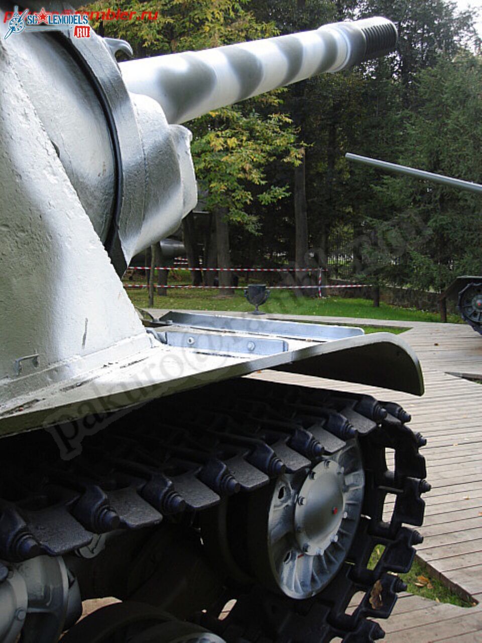 175.jpg