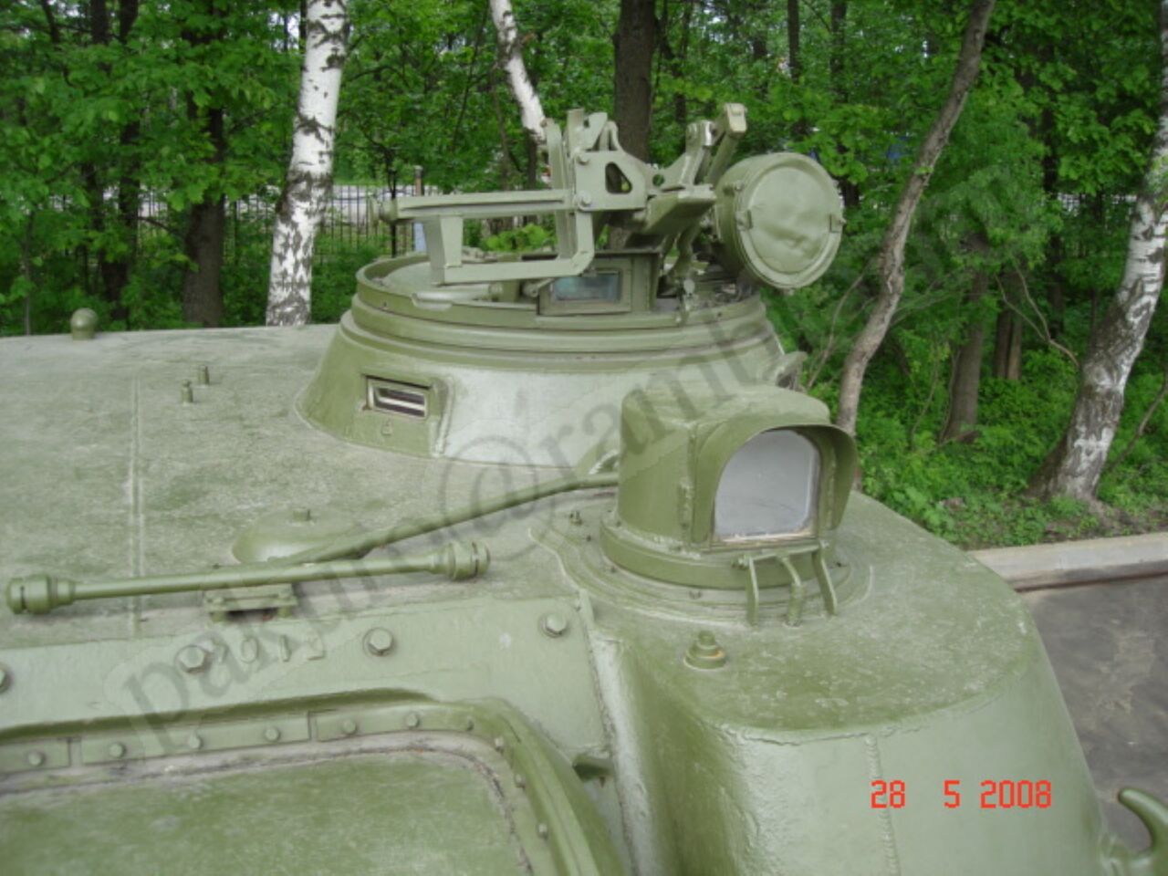 77.jpg