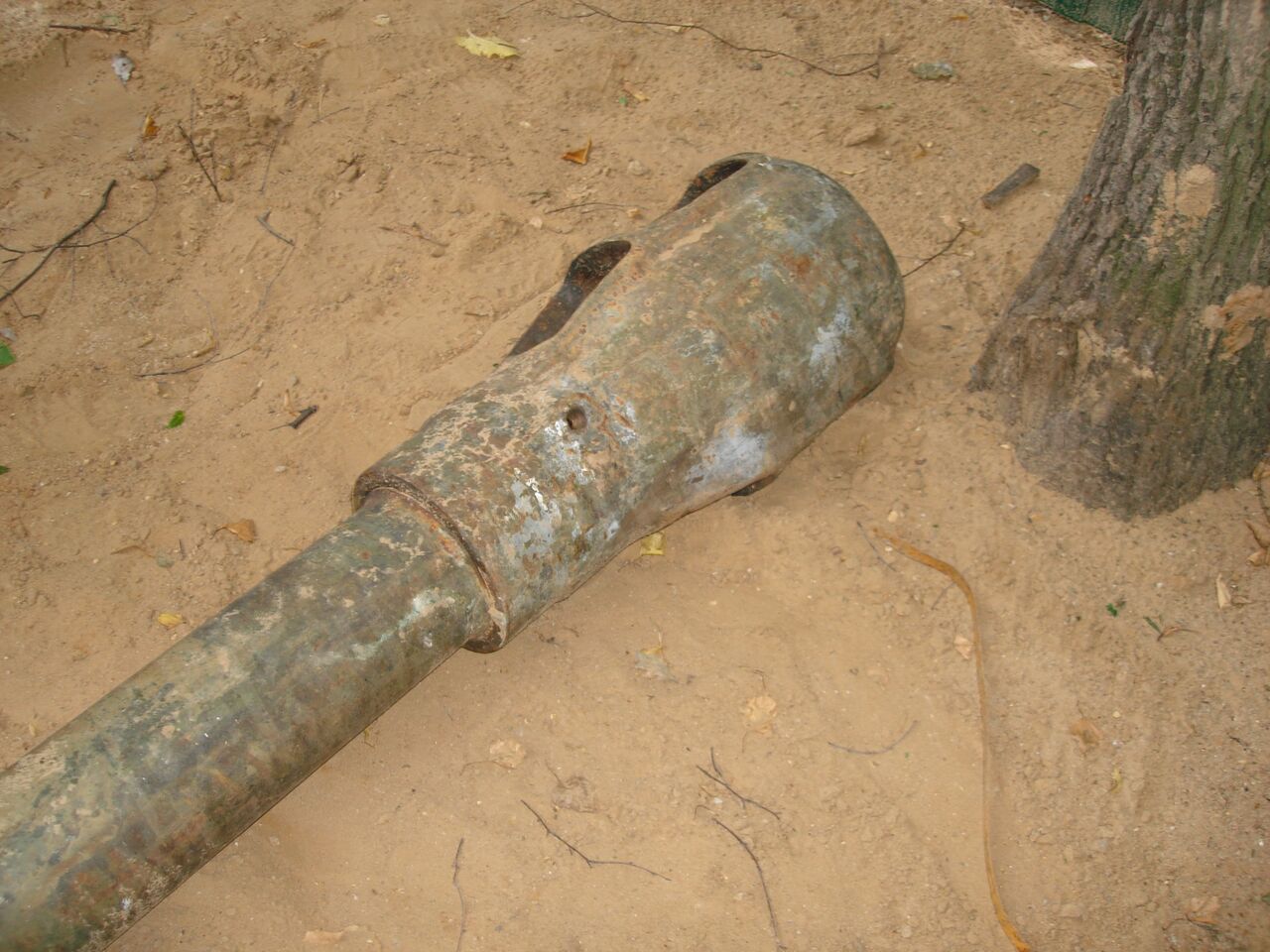 131.jpg