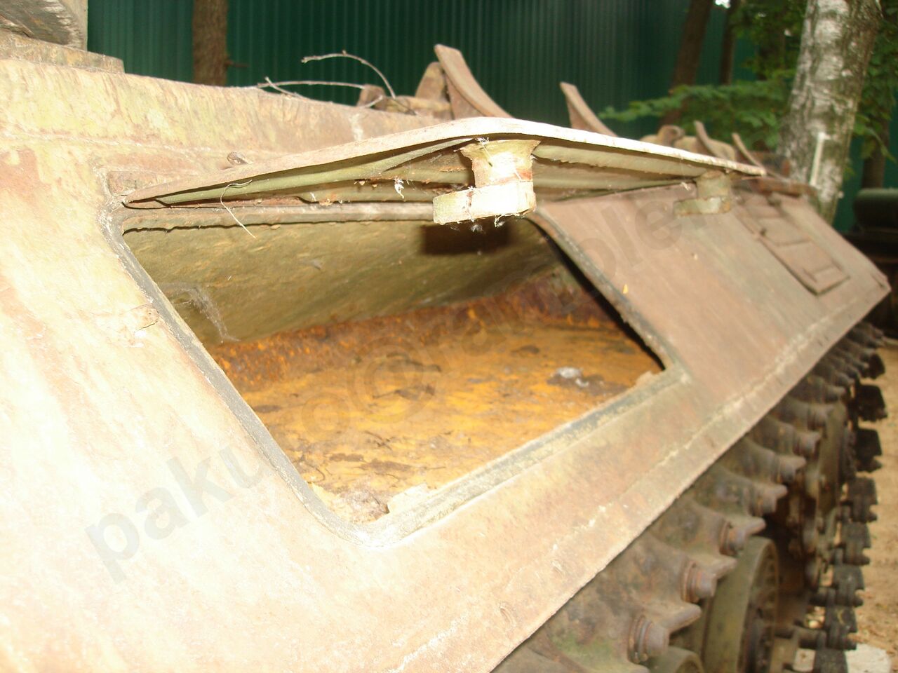 59.jpg